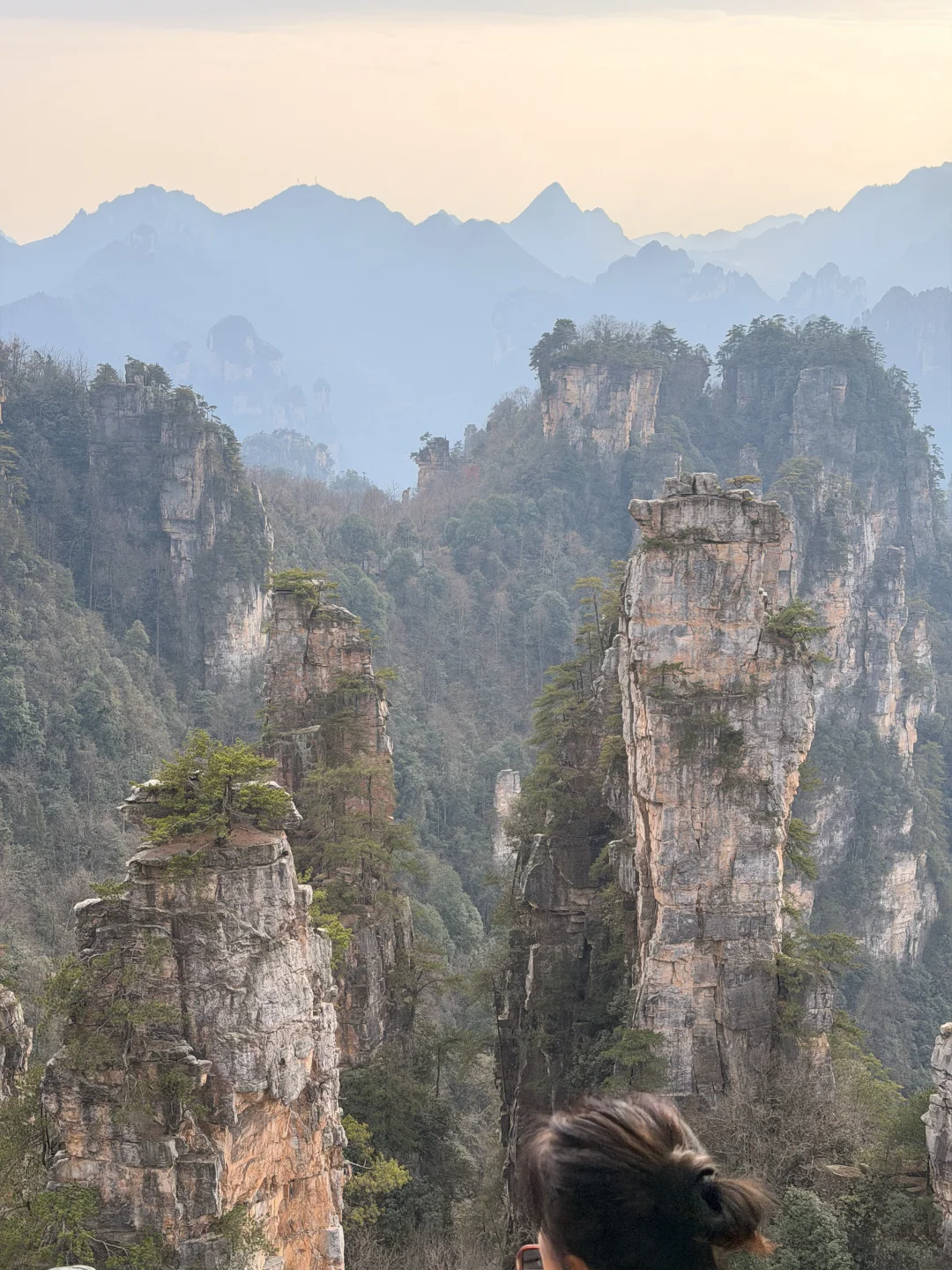 这都啥玩意儿啊！天门山你别太离谱！