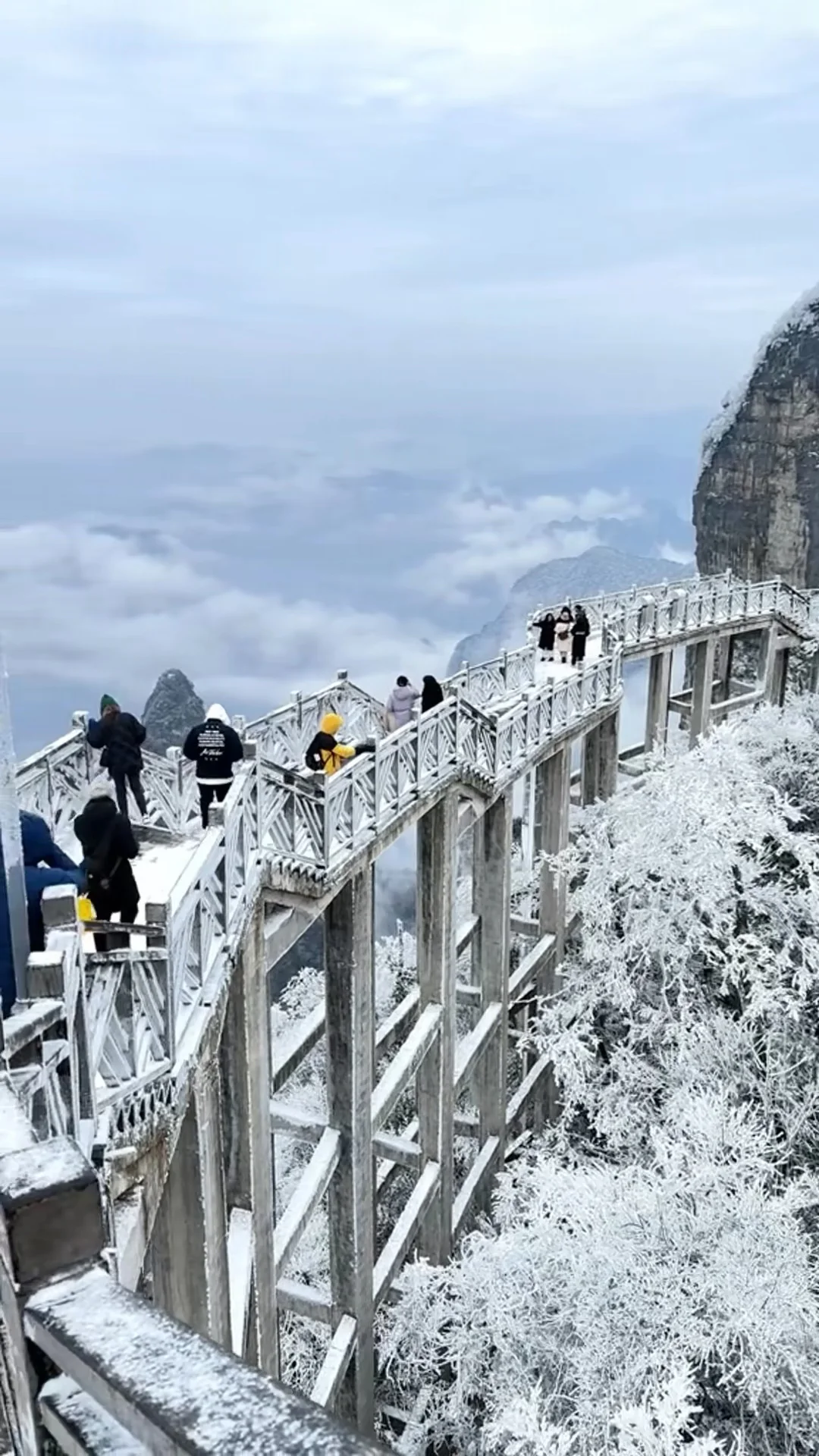 广东的朋友们，不来张家界看漂亮雪❄️吗