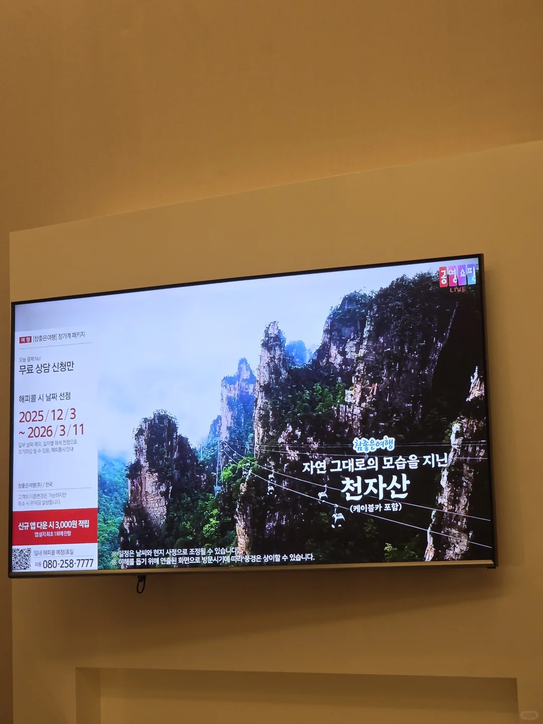 张家界果然是韩网顶流 IP⛰️