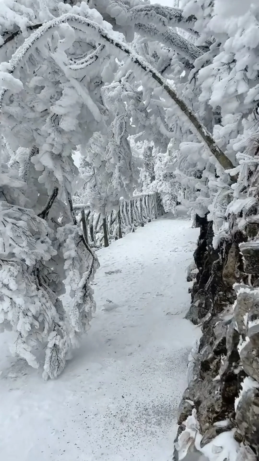 广东的朋友们，不来张家界看漂亮雪❄️吗