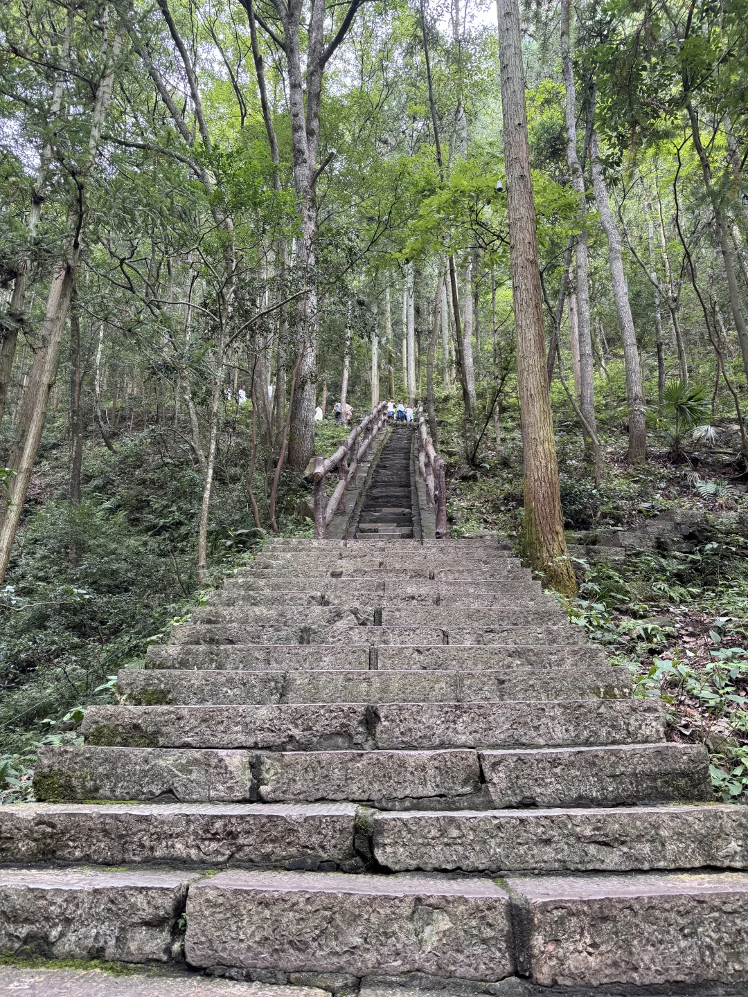 张家界最推荐酒店-四季来 •溪畔（已住）