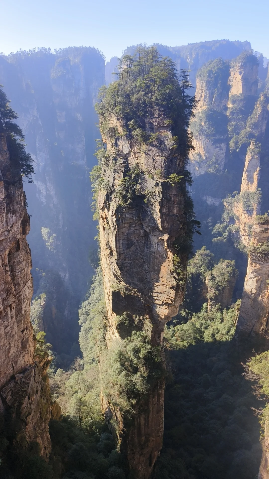 想去张家界国家森林公园的可以来看看