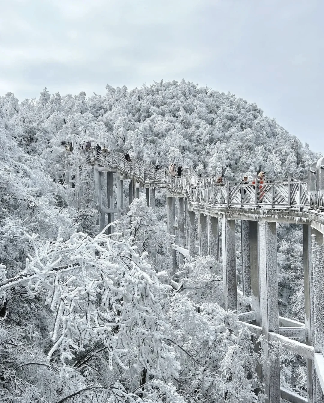 天门山的初雪❄️
