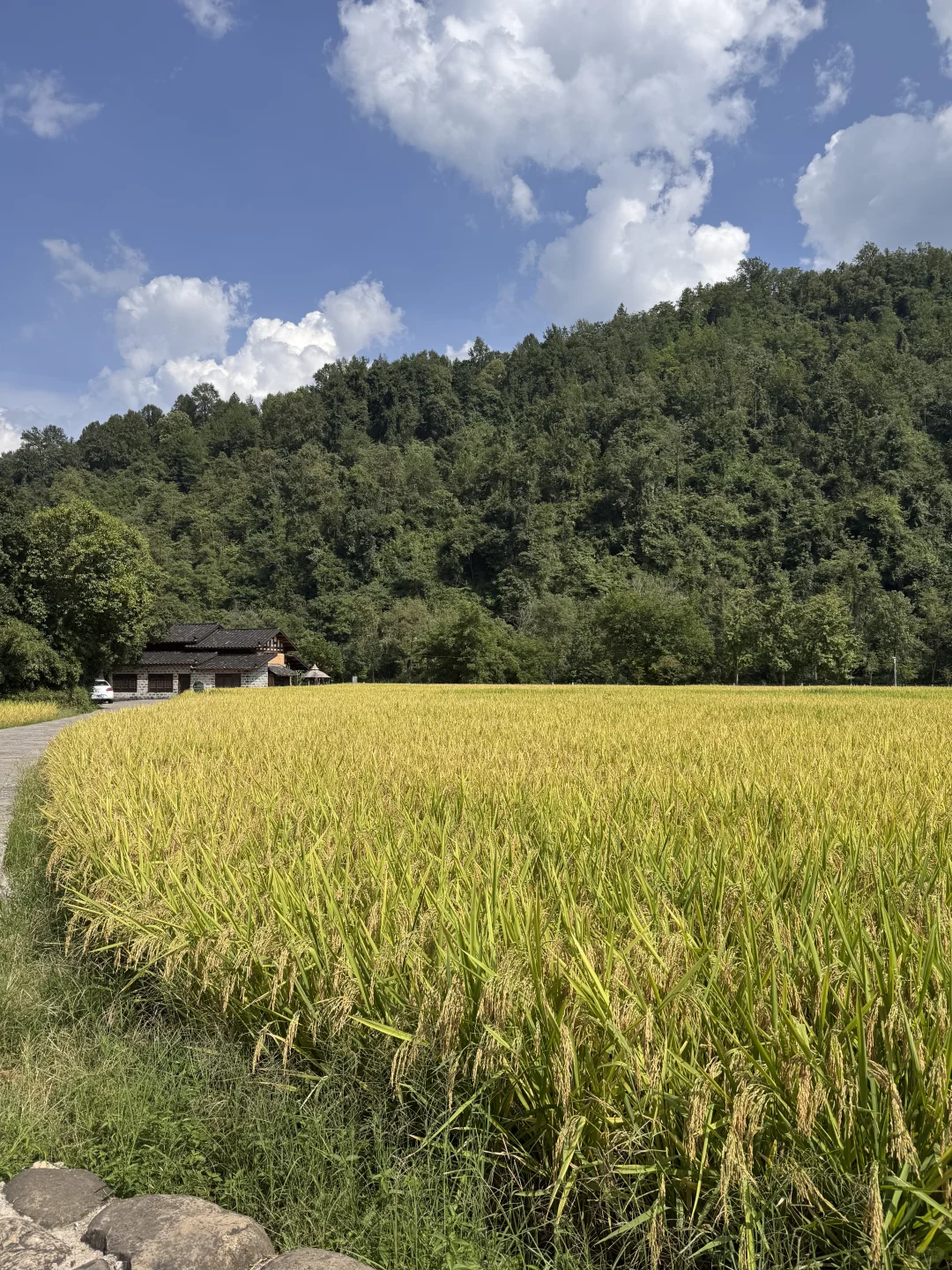张家界最推荐酒店-四季来 •溪畔（已住）