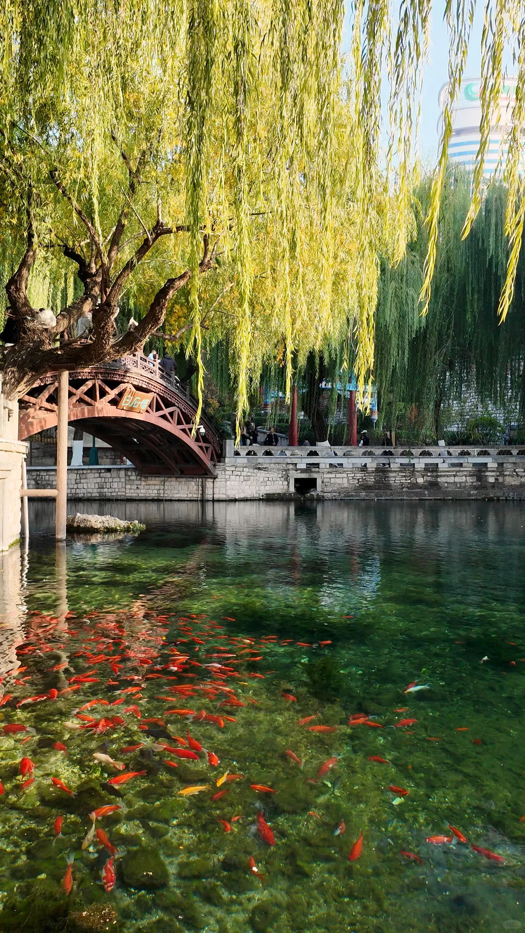 跟风成功！！济南的泉水果然不一般。。。。