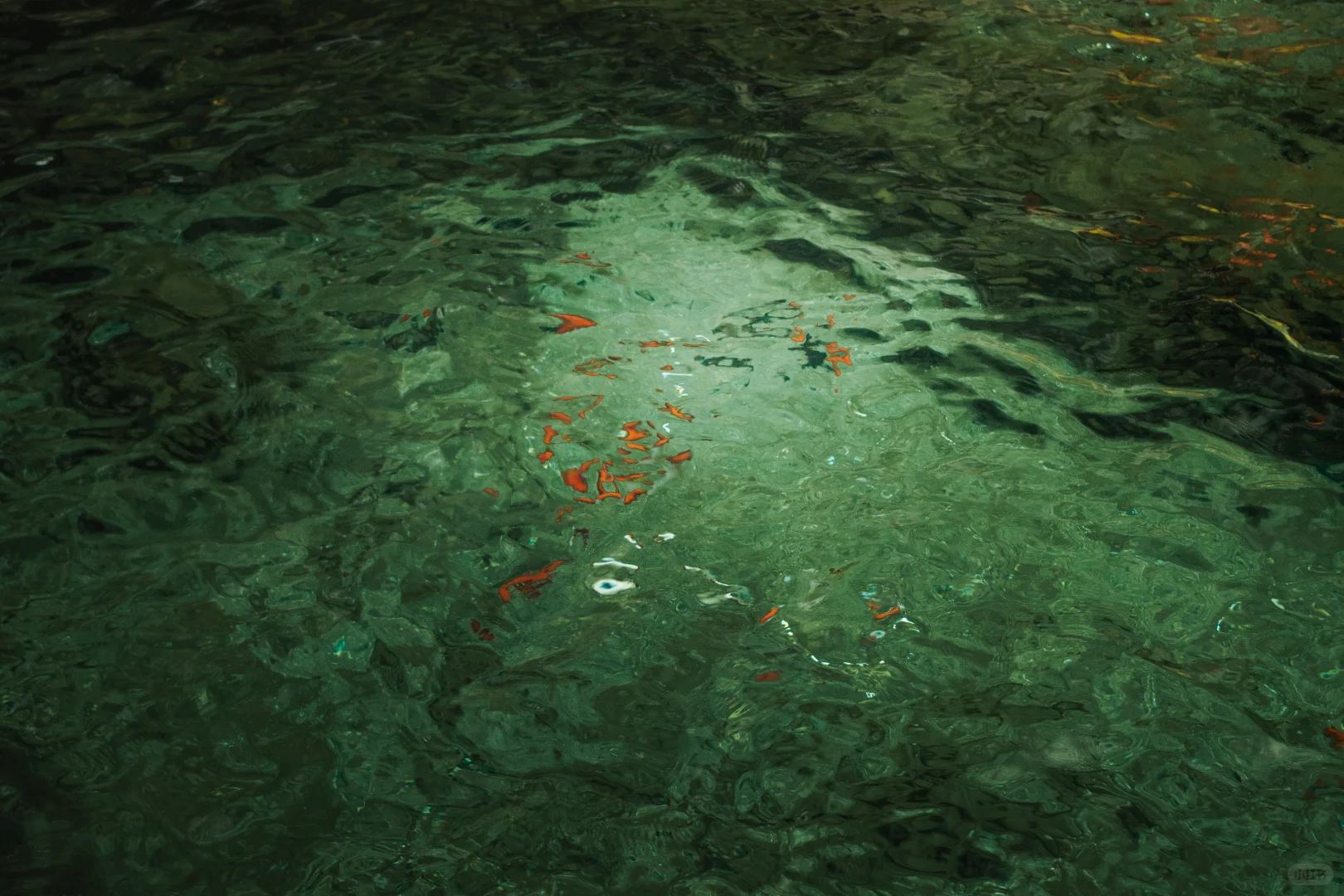 在济南的十二小时