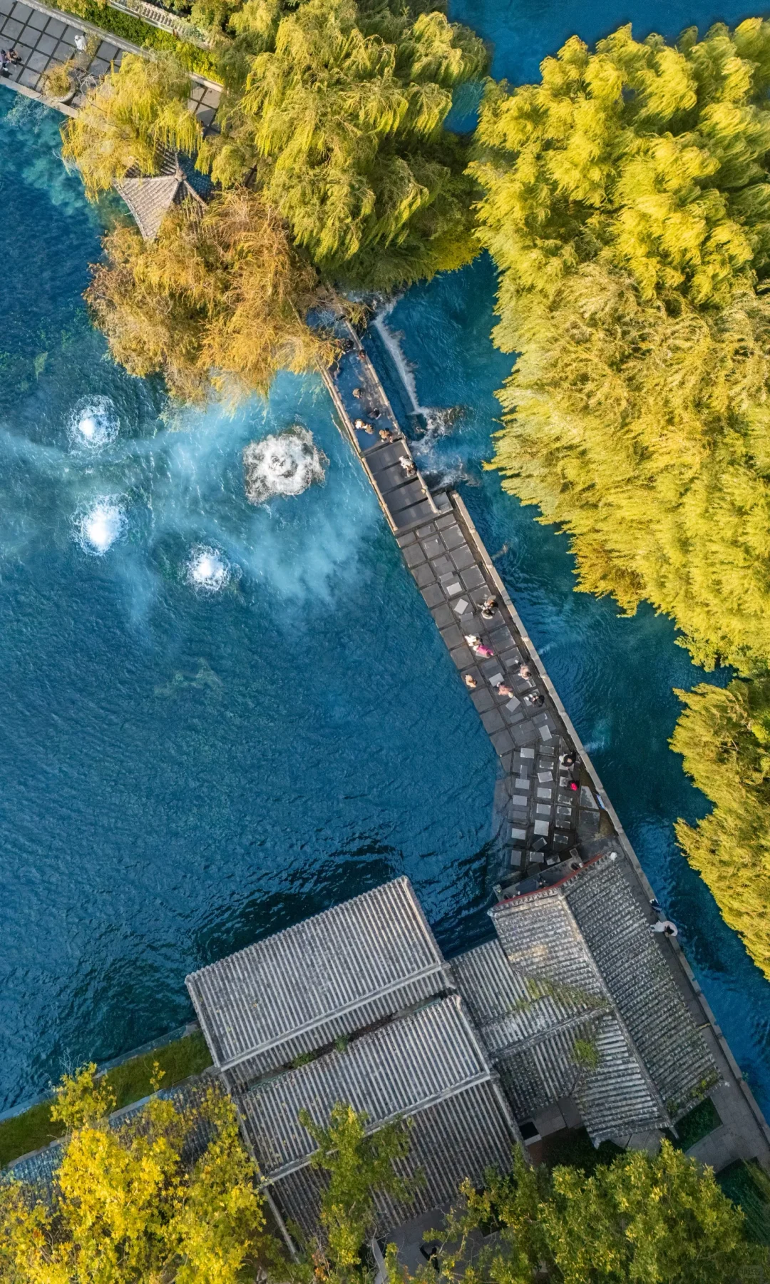 不是江南是济南！！！秋景和泉水美到疯狂！！！