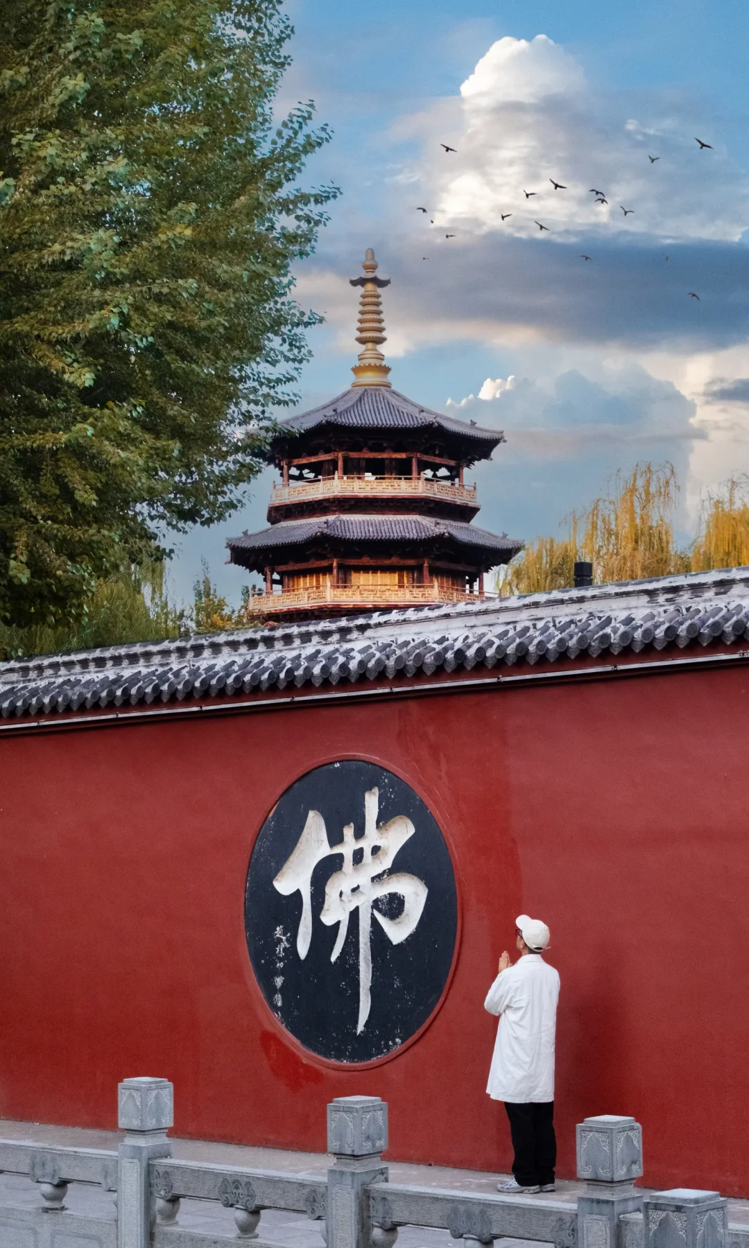 不是江南是济南！！！秋景和泉水美到疯狂！！！