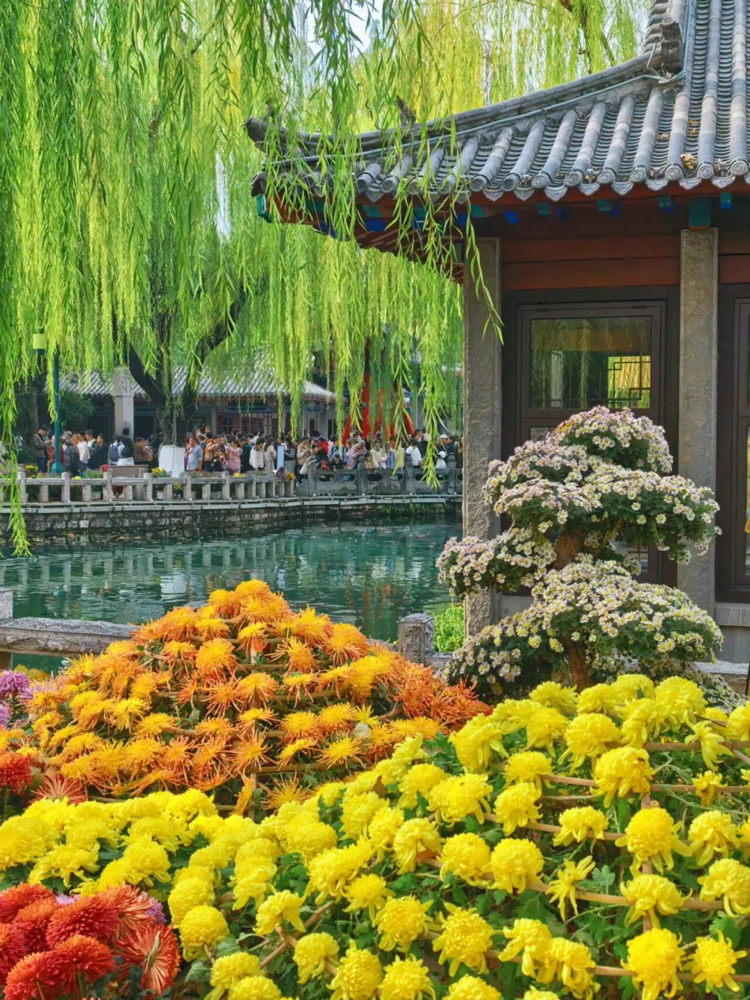 11.15的济南趵突泉 美不胜收