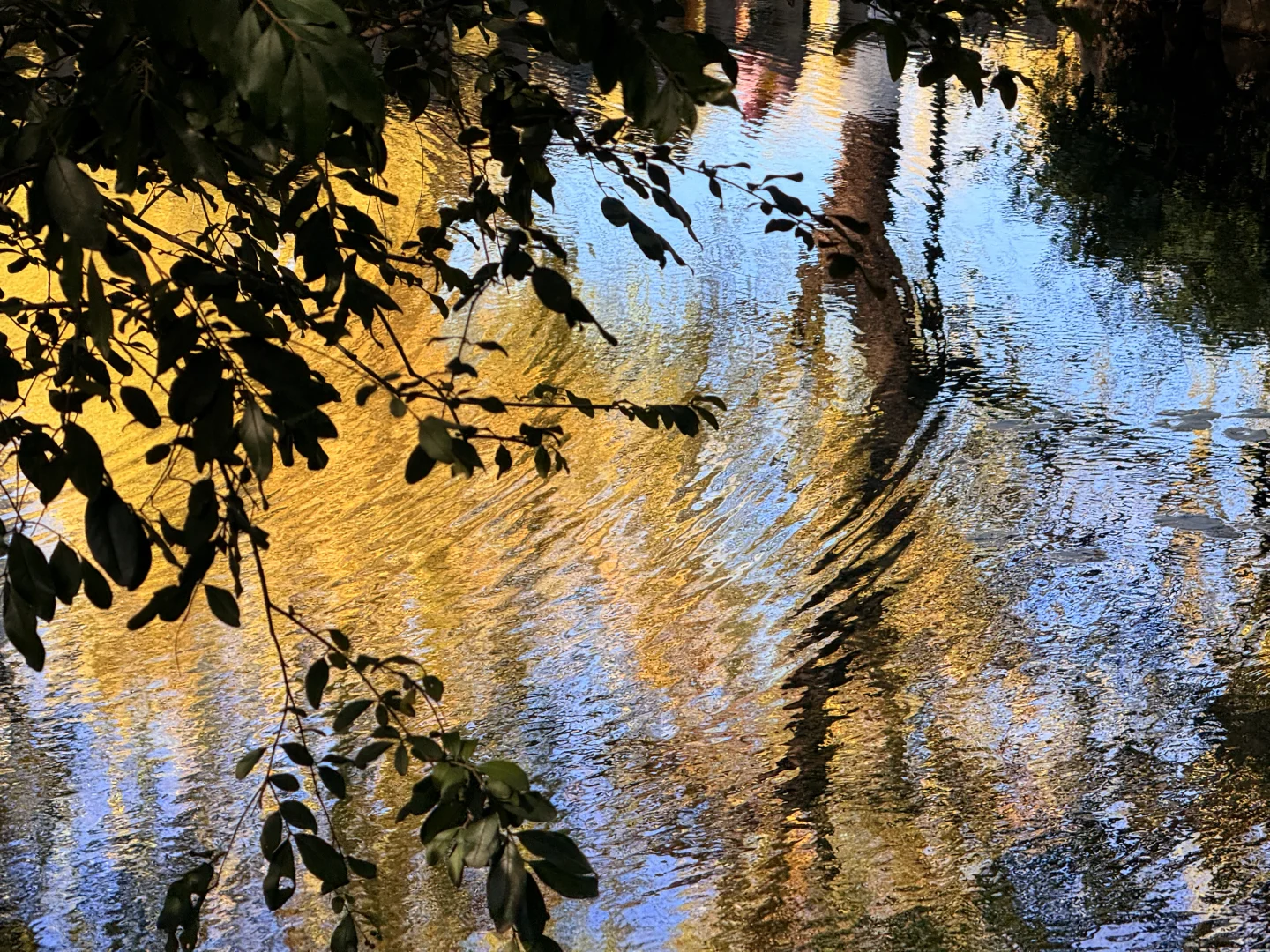 济南的冬天是响晴的