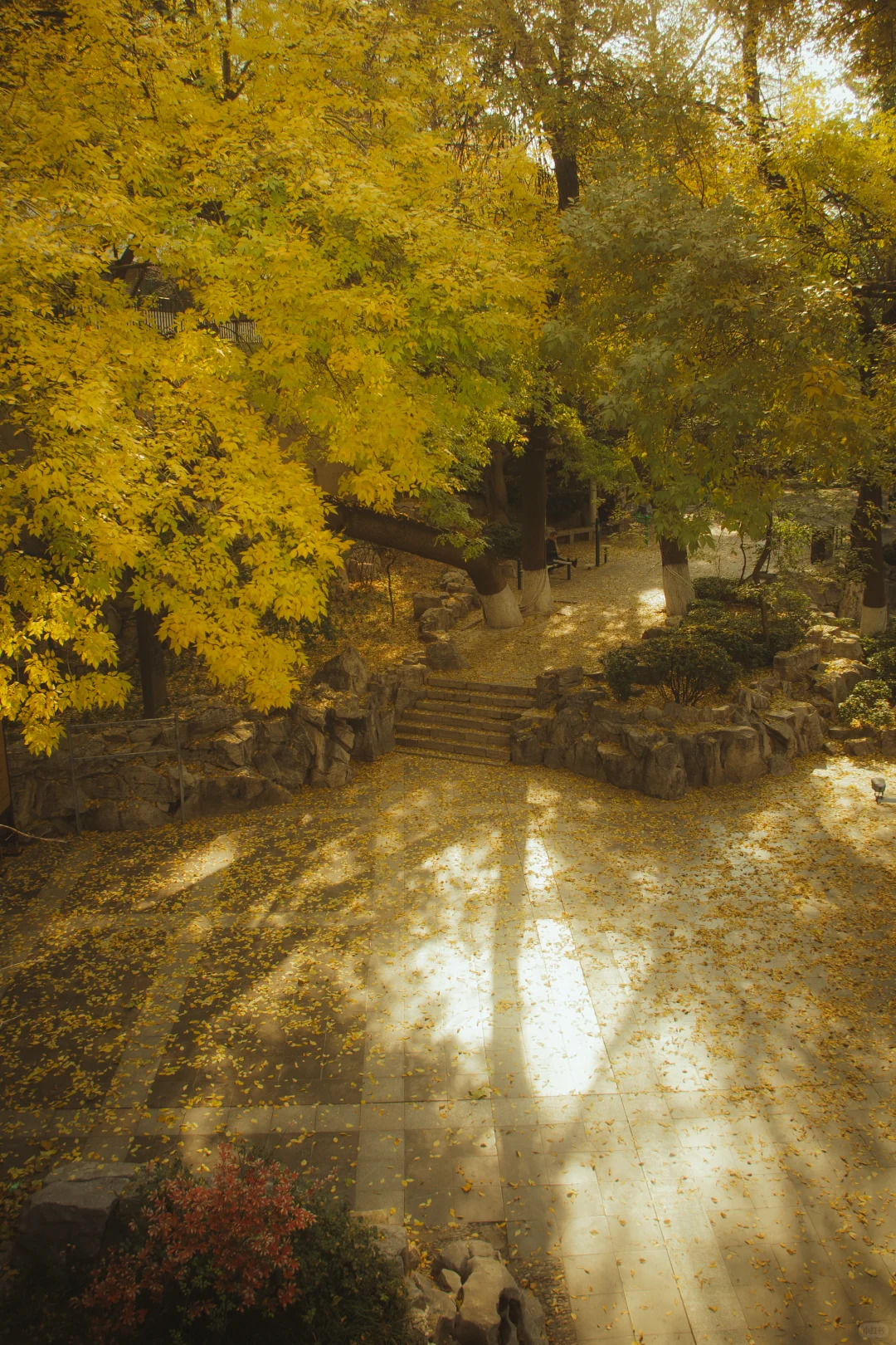 在济南的十二小时