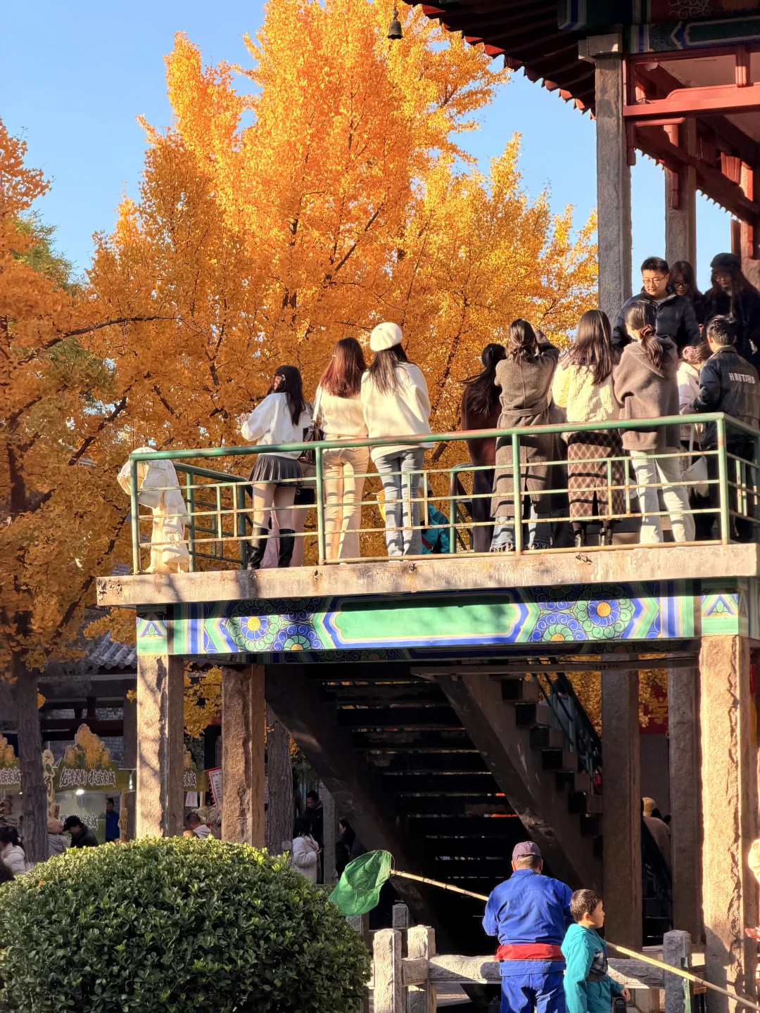 济南的秋天真的杀疯了！附地址！超全攻略。。。