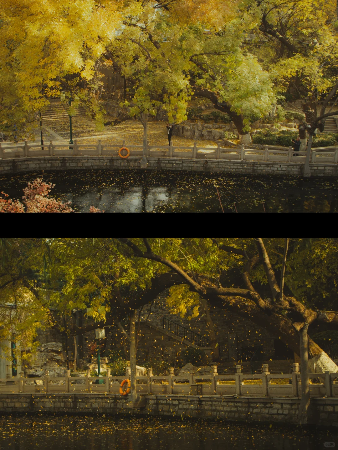 在济南的十二小时