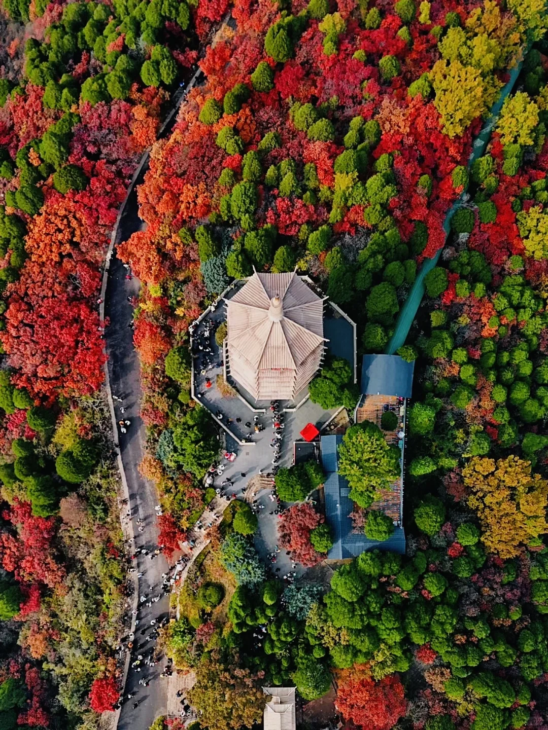 济南的秋天真的杀疯了！附地址！超全攻略。。。