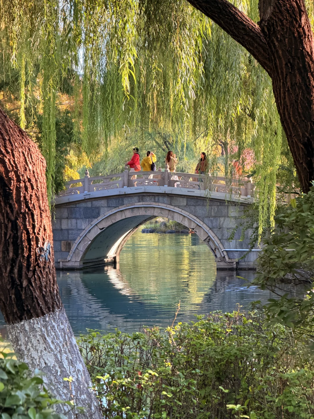 济南的秋天真的杀疯了！附地址！超全攻略。。。