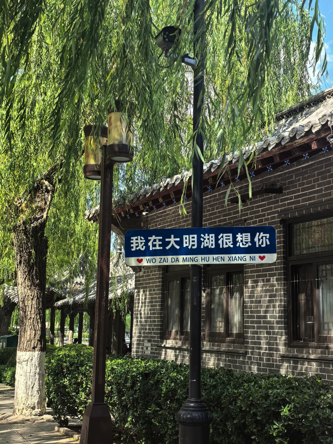 感觉济南只要去一天就够了