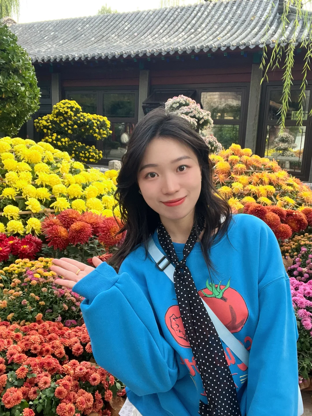 11.15📍济南现状（已老实）内容很真