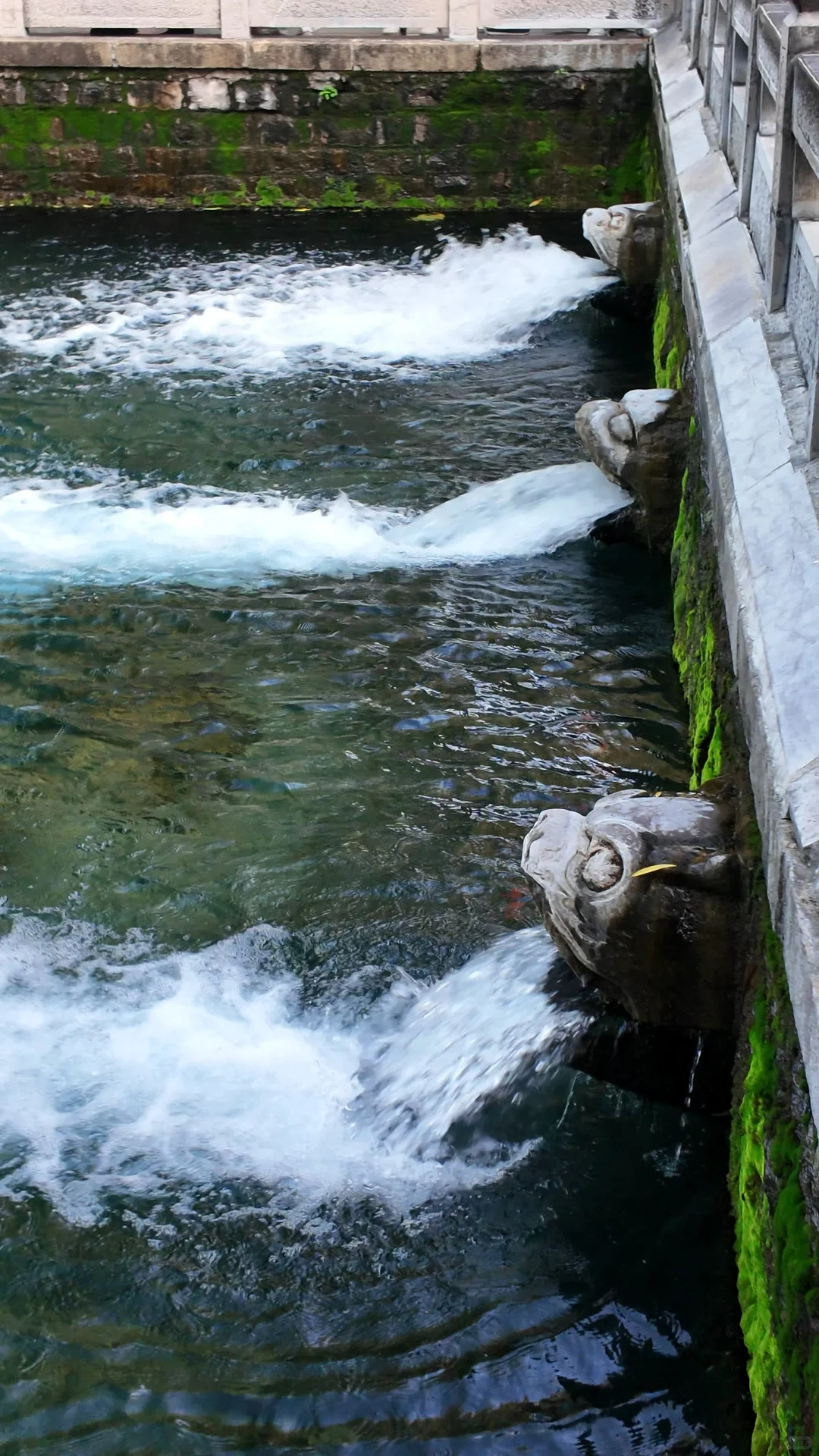跟风成功！！济南的泉水果然不一般。。。。