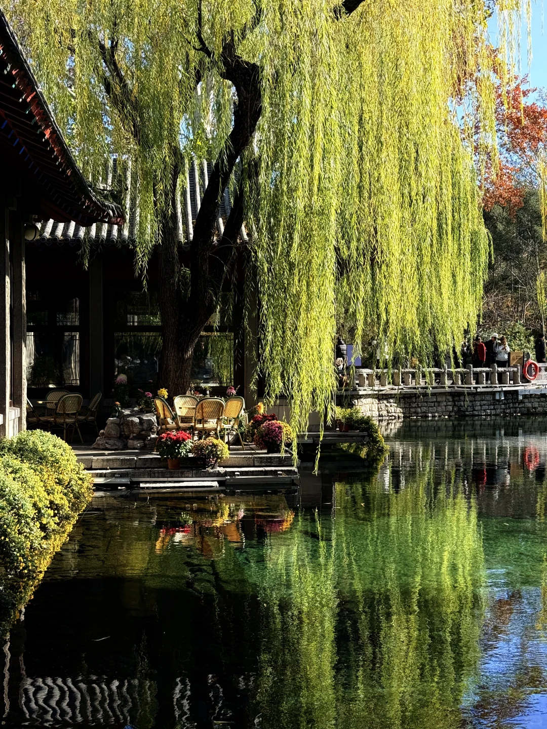 济南的冬天是响晴的