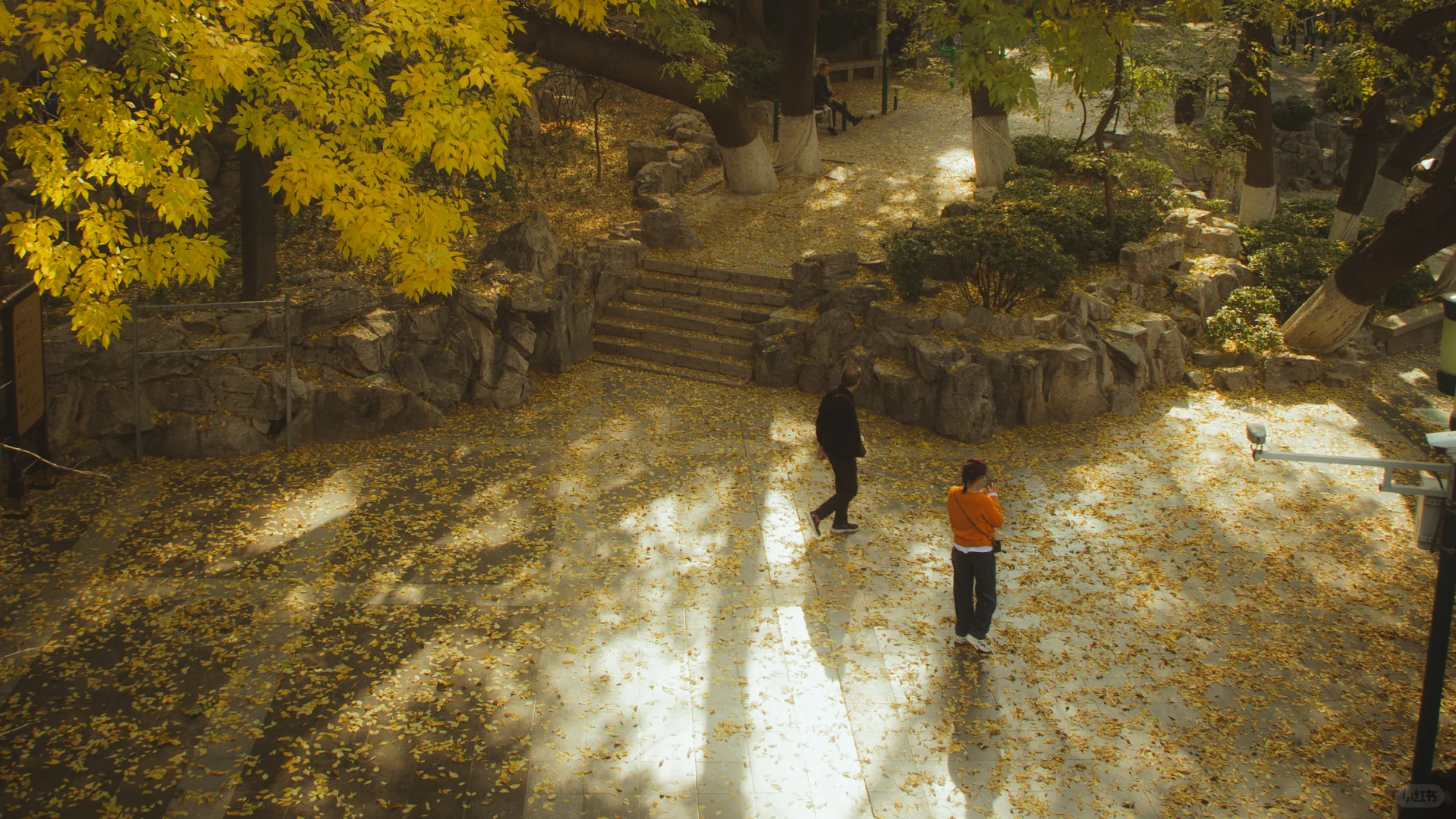 在济南的十二小时