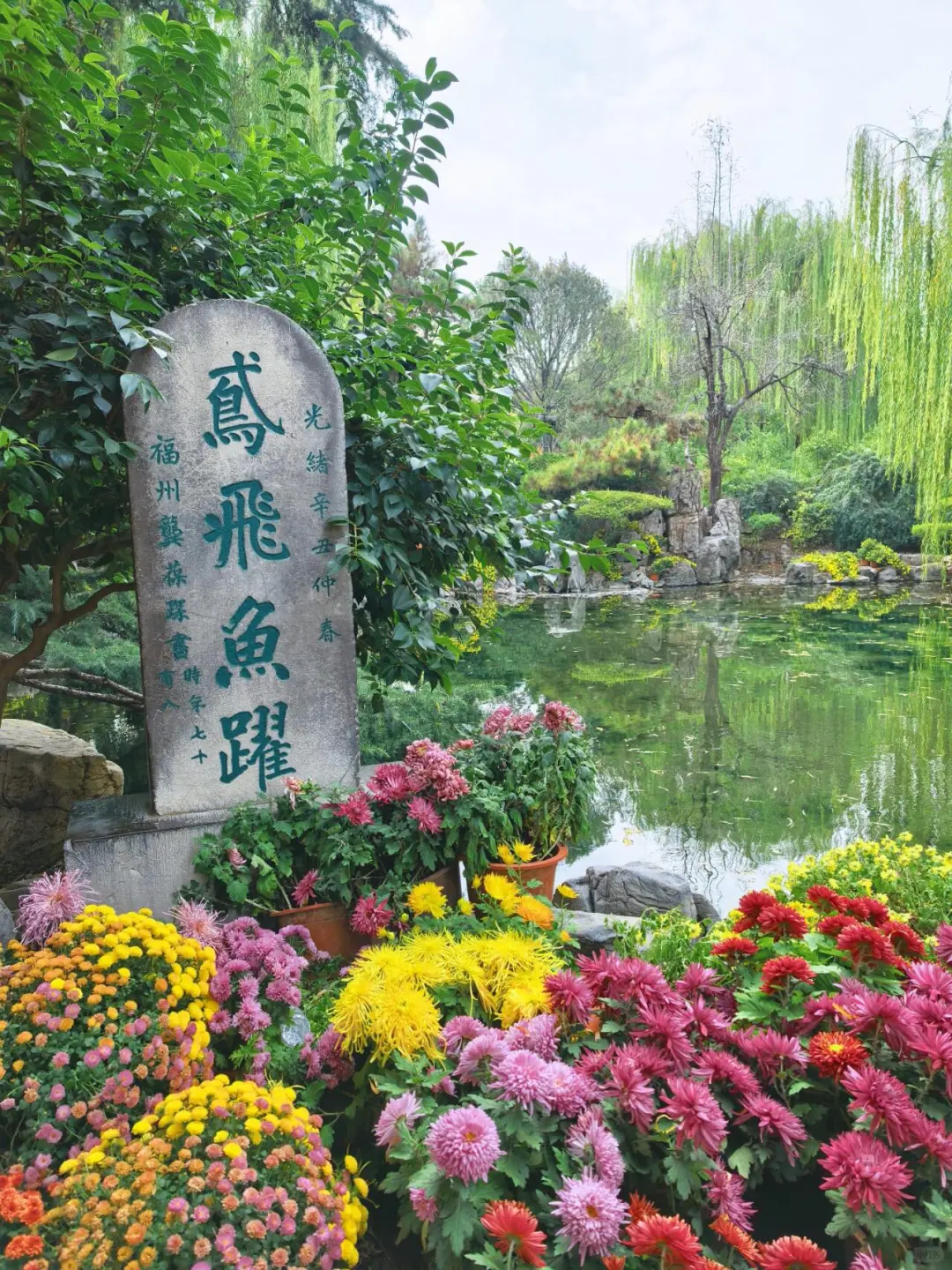 11.15的济南趵突泉 美不胜收