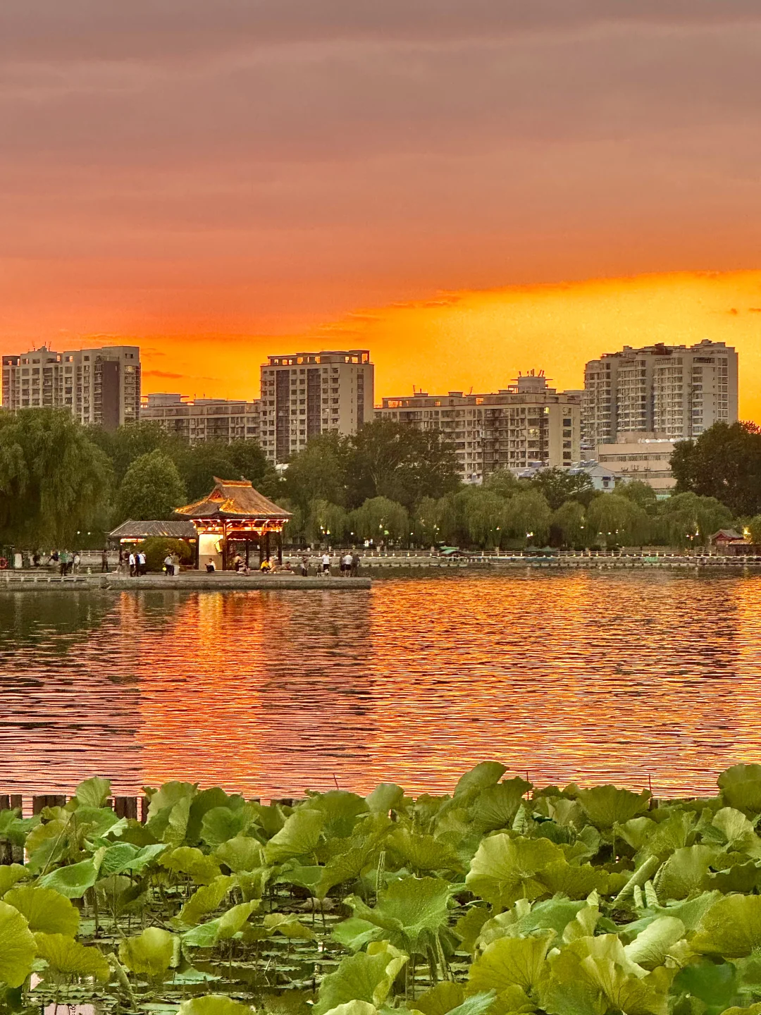 济南最美的地方都是免费的。。。。😰😰