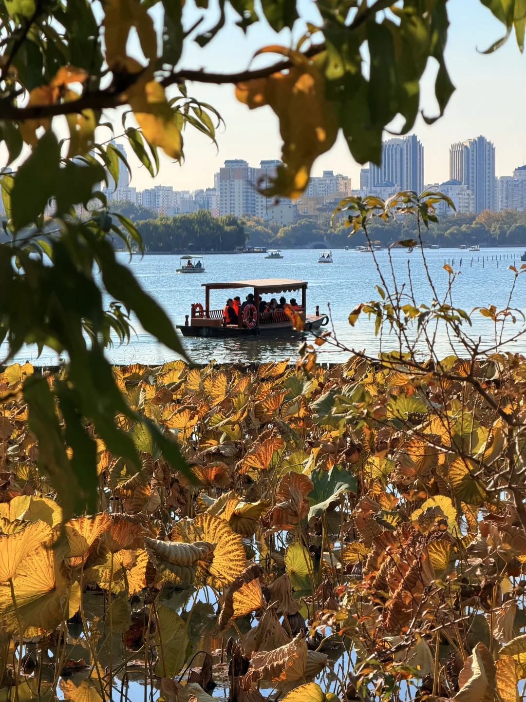 济南的秋天真的杀疯了！附地址！超全攻略。。。