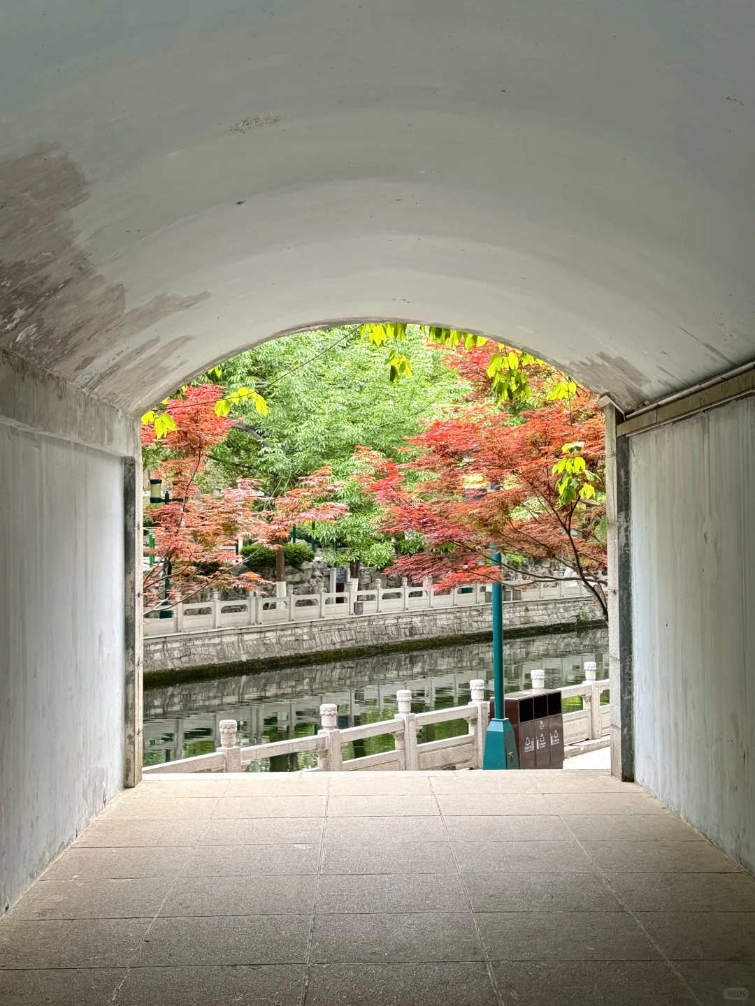 济南最美的地方都是免费的。。。。😰😰