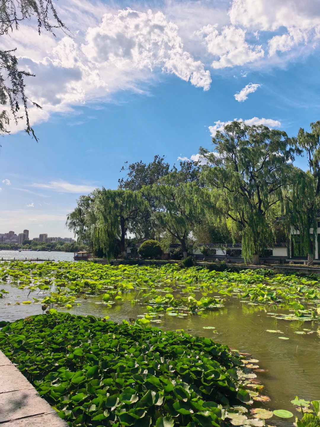 感觉济南只要去一天就够了