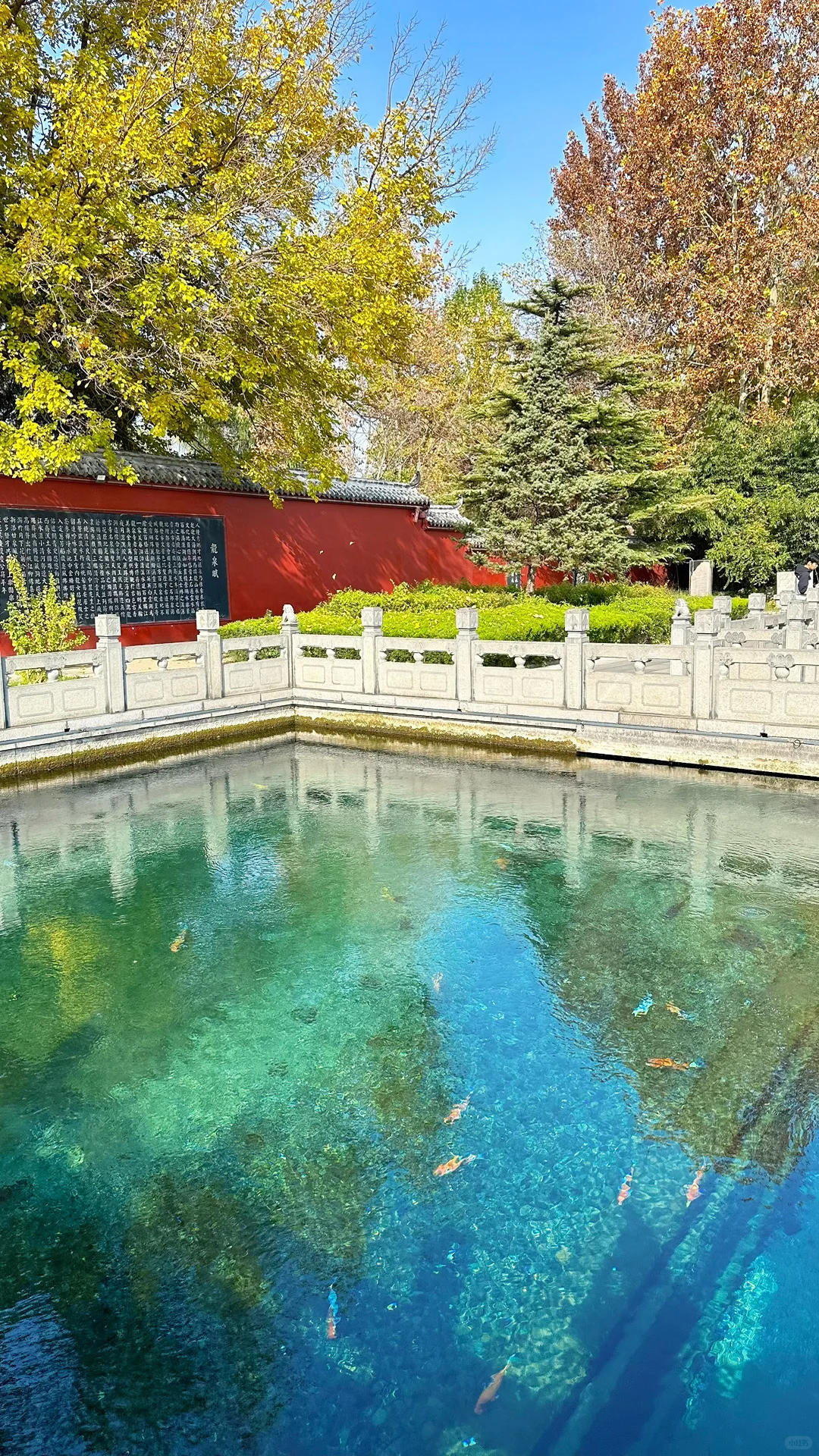 Live图的意义，济南泉水太有生命力了❗️