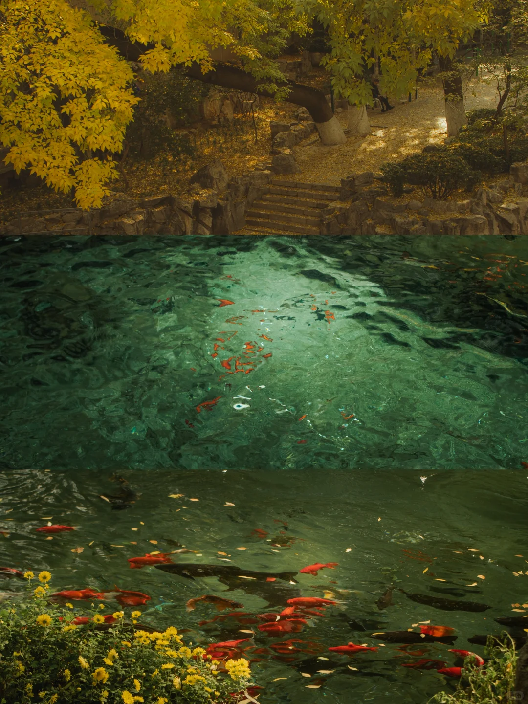 在济南的十二小时