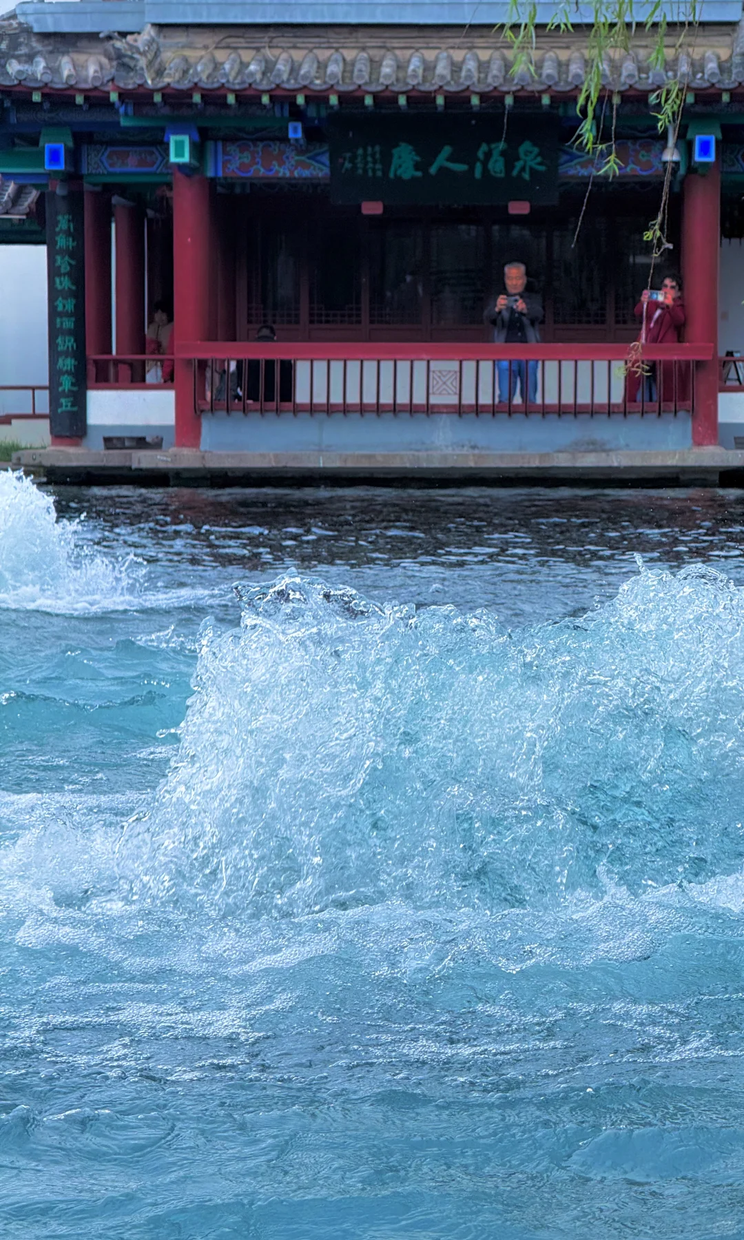 不是江南是济南！！！秋景和泉水美到疯狂！！！