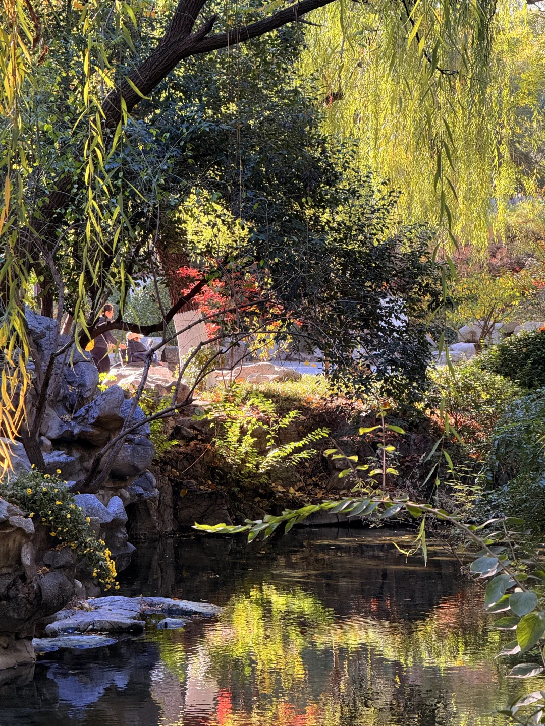 济南的冬天是响晴的