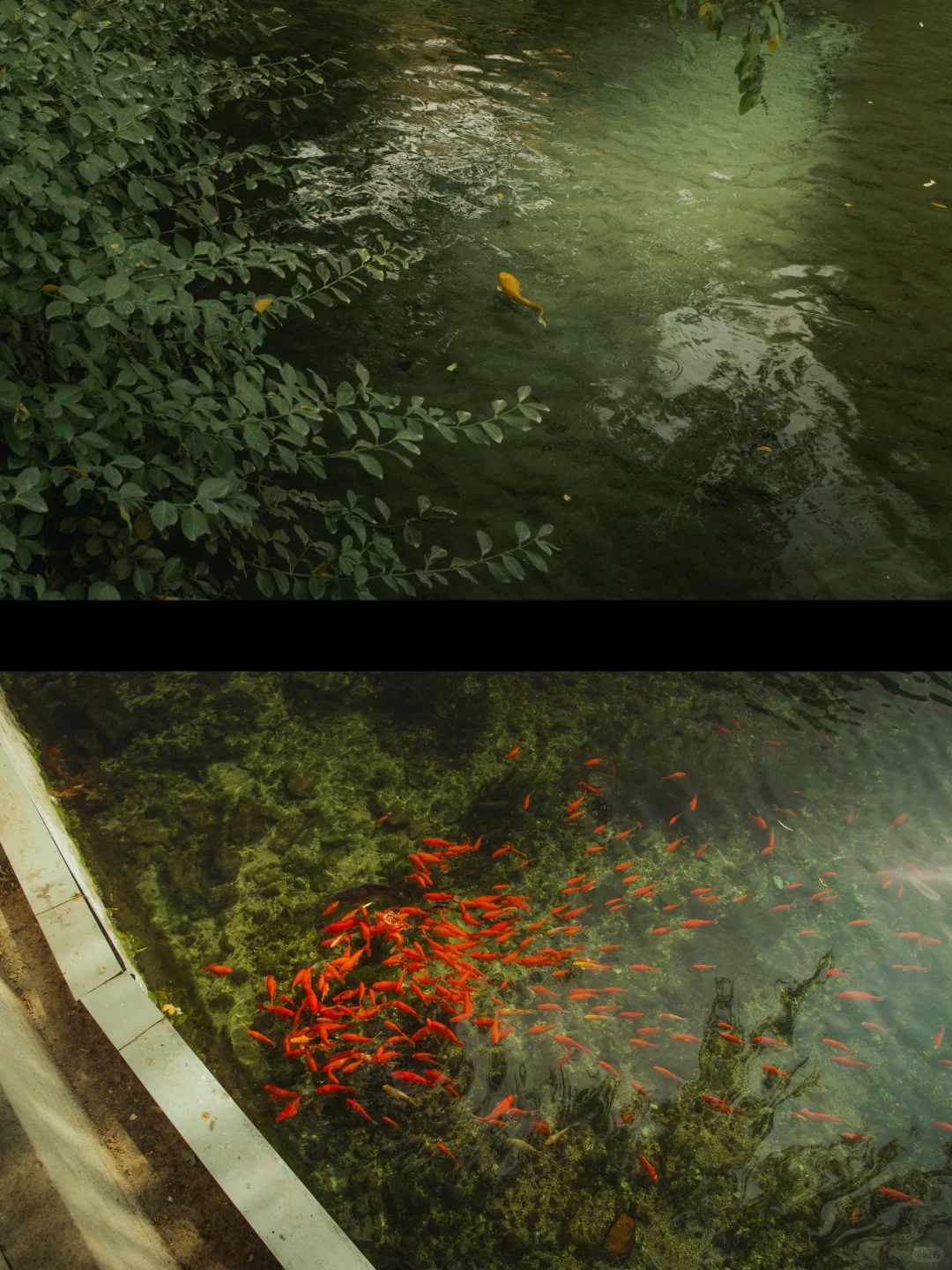 在济南的十二小时