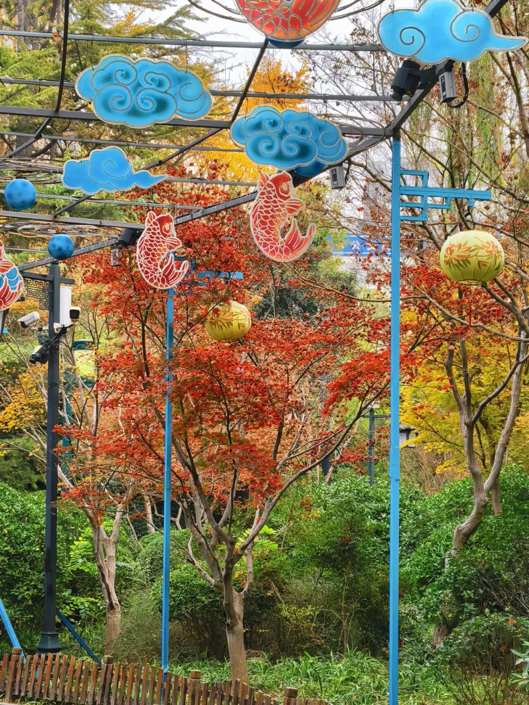 11.15的济南趵突泉 美不胜收