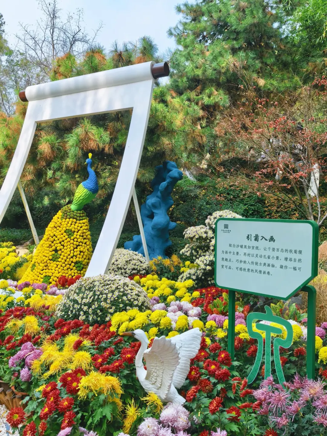 11.15的济南趵突泉 美不胜收