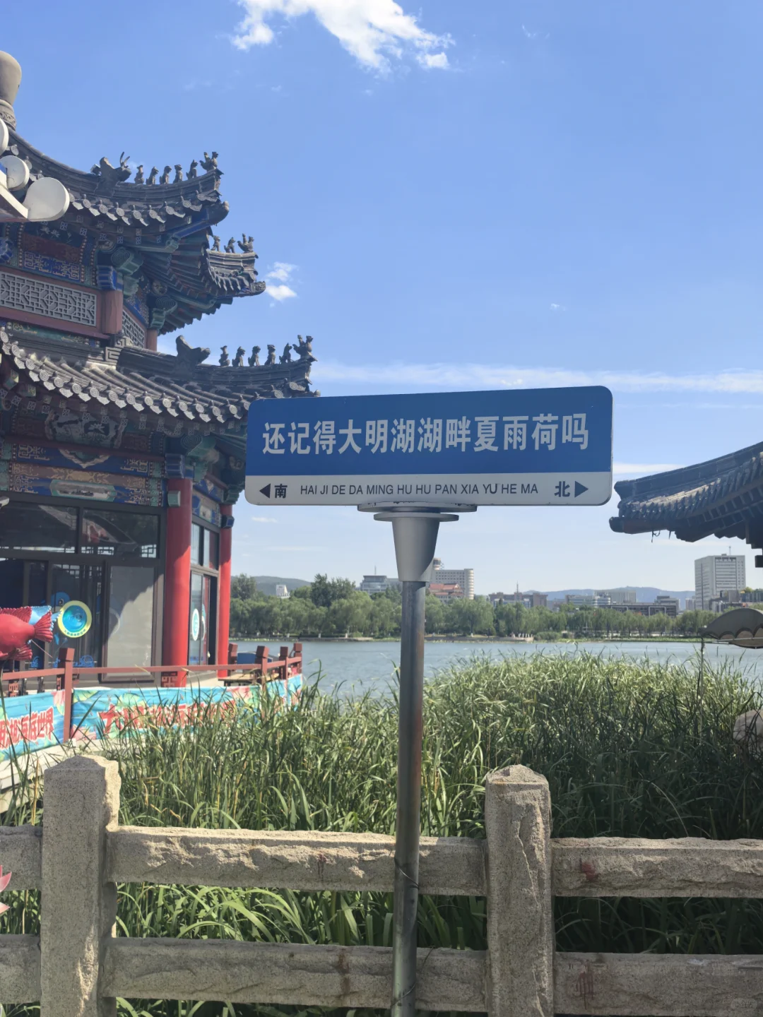 感觉济南只要去一天就够了