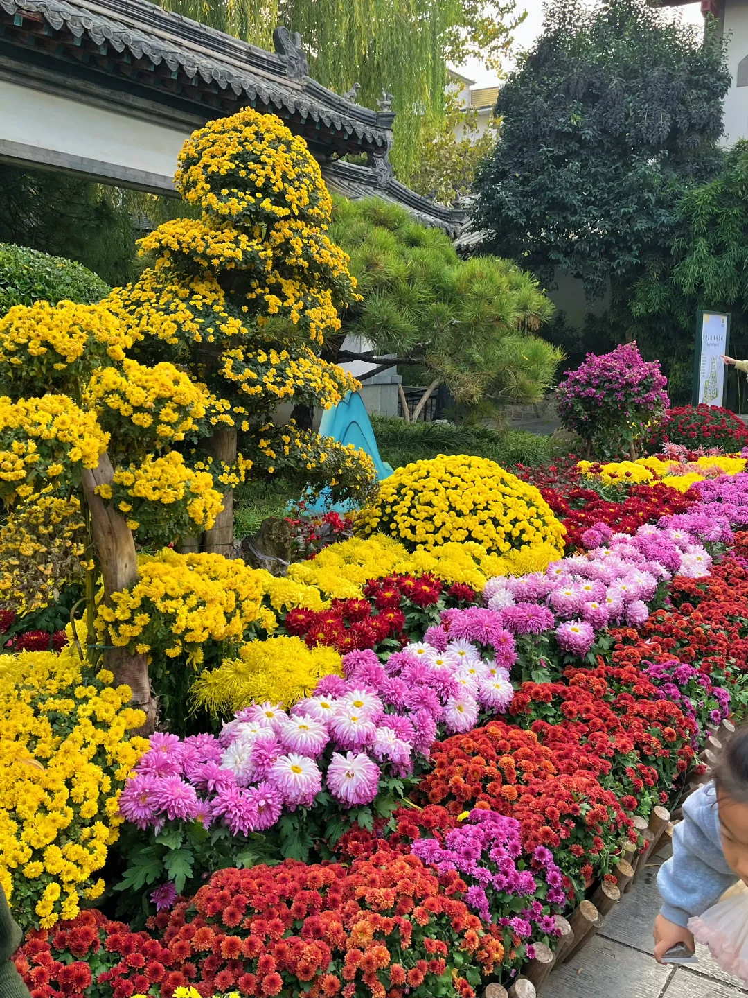 11.15📍济南现状（已老实）内容很真