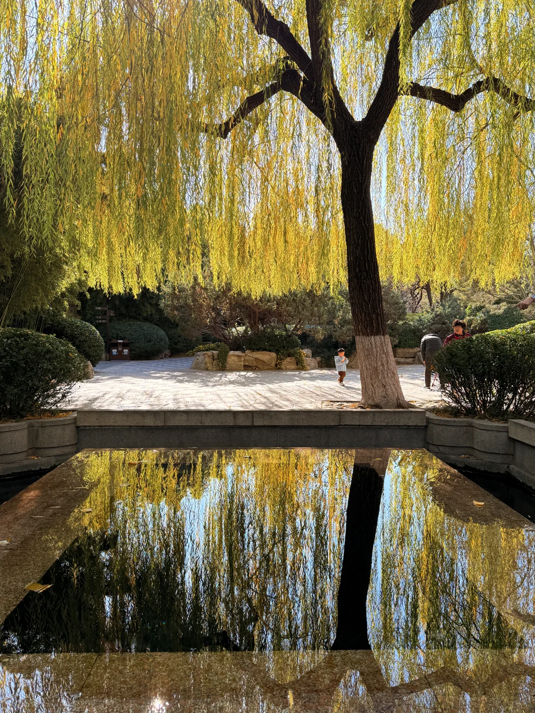 济南的冬天是响晴的