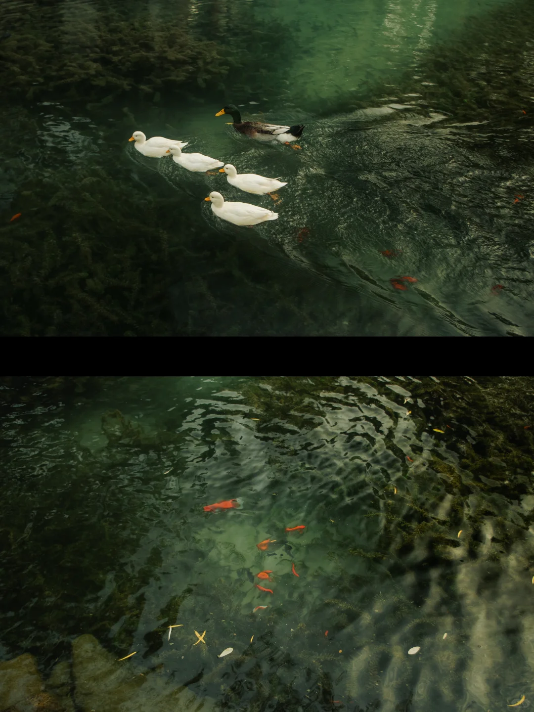 在济南的十二小时