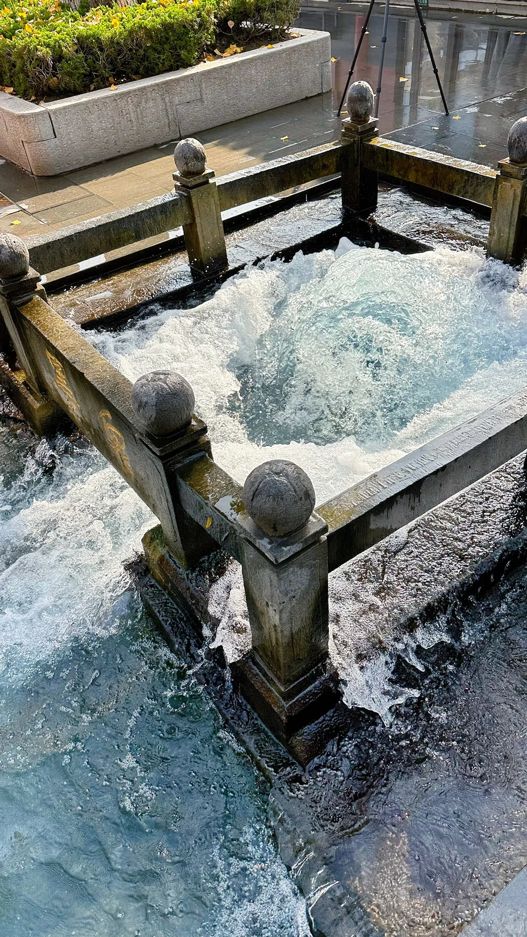 Live图的意义，济南泉水太有生命力了❗️