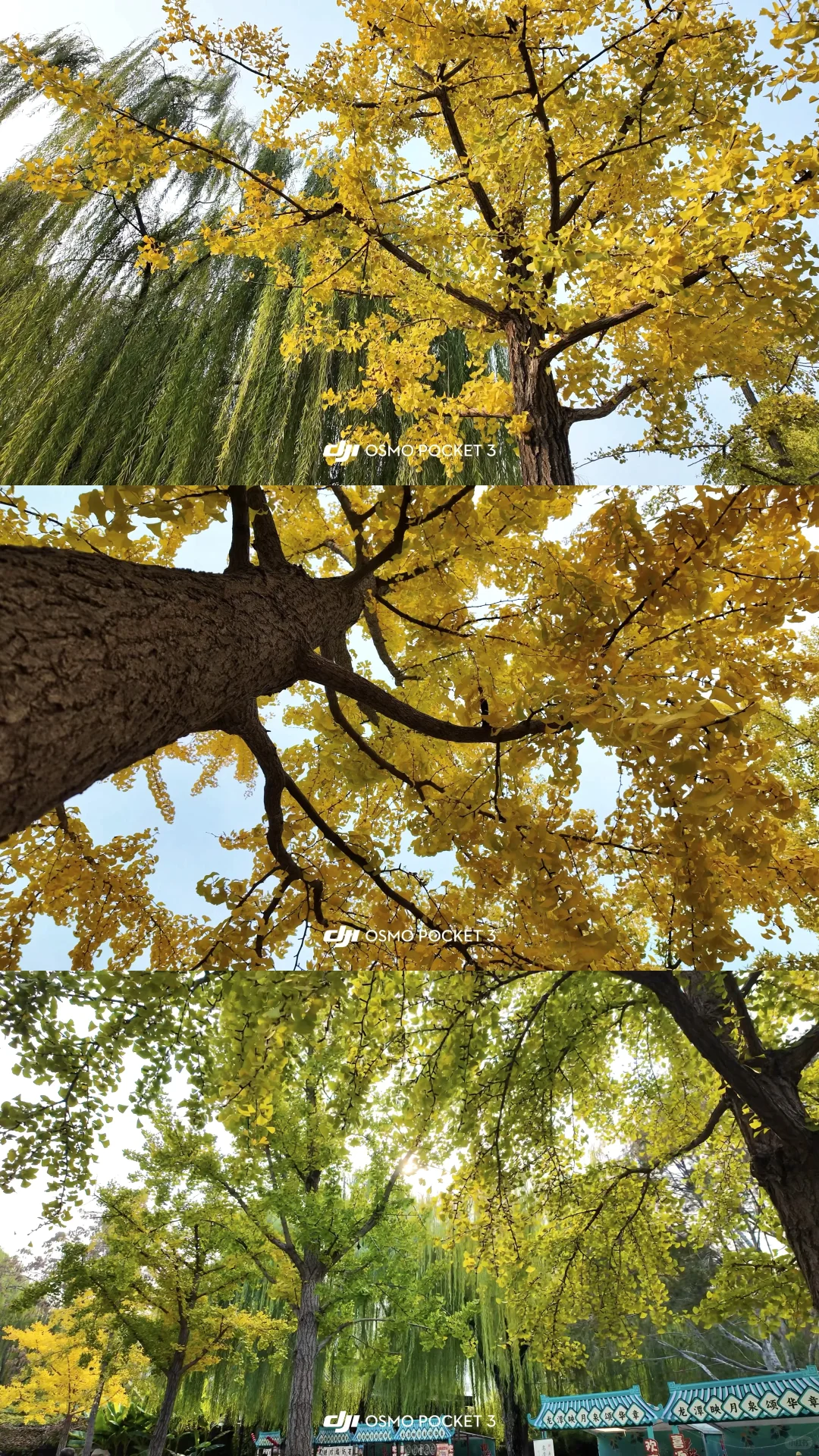 济南一日游暴走攻略 | 超顺动线+深度游玩