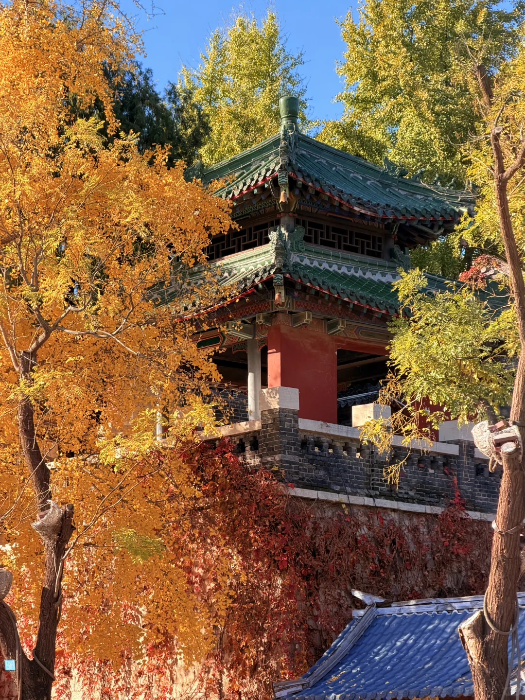 济南的秋天真的杀疯了！附地址！超全攻略。。。