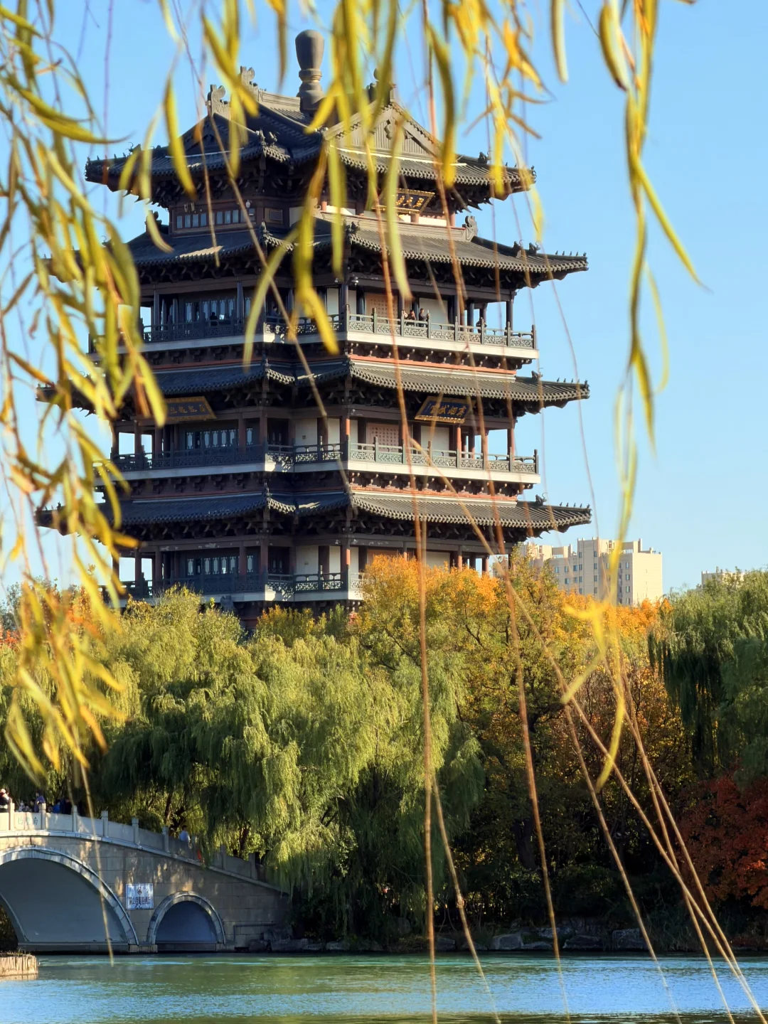 济南的秋天真的杀疯了！附地址！超全攻略。。。