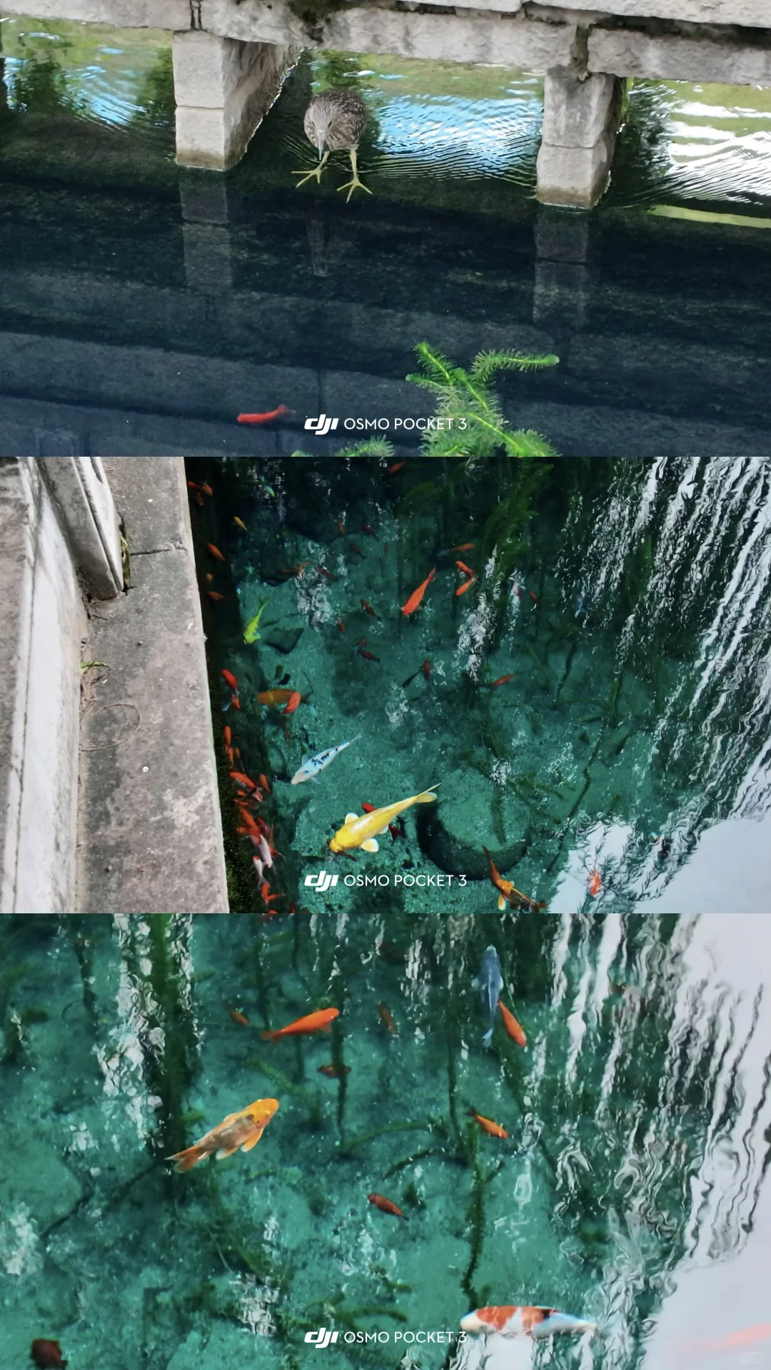 济南一日游暴走攻略 | 超顺动线+深度游玩