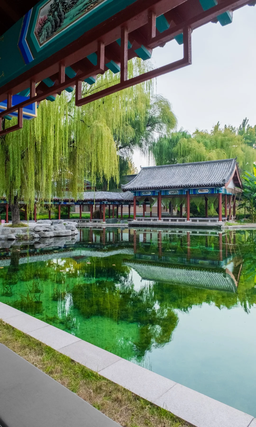 不是江南是济南！！！秋景和泉水美到疯狂！！！