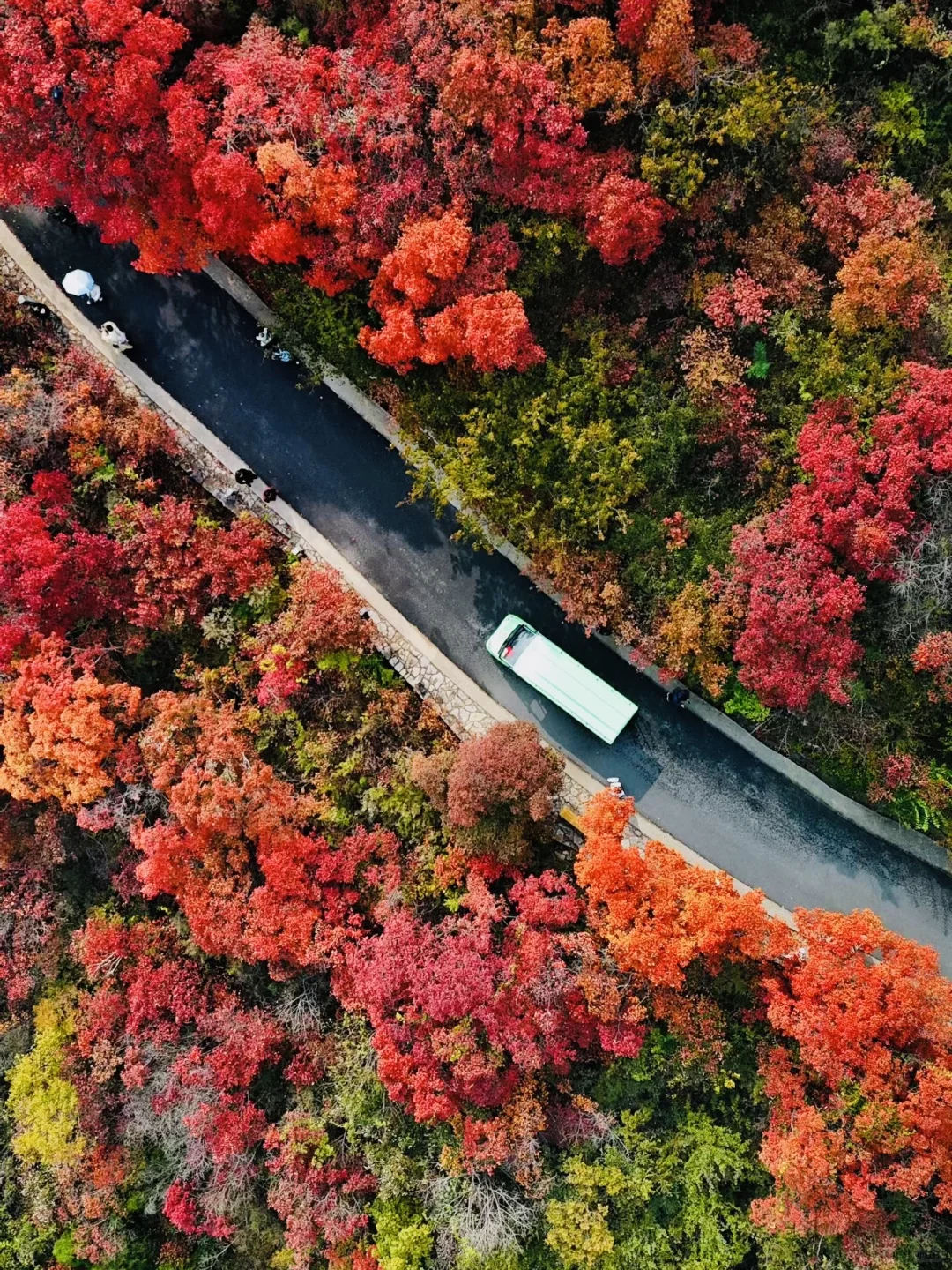 济南的秋天真的杀疯了！附地址！超全攻略。。。