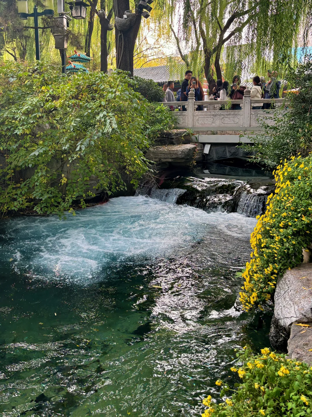 11.15📍济南现状（已老实）内容很真