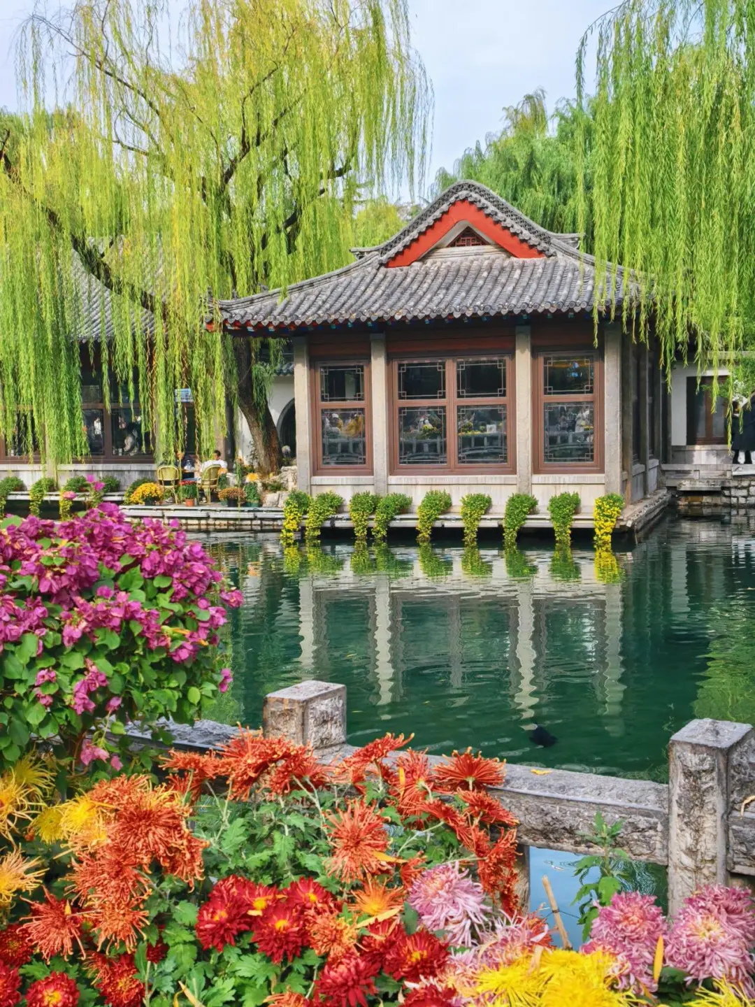 11.15的济南趵突泉 美不胜收