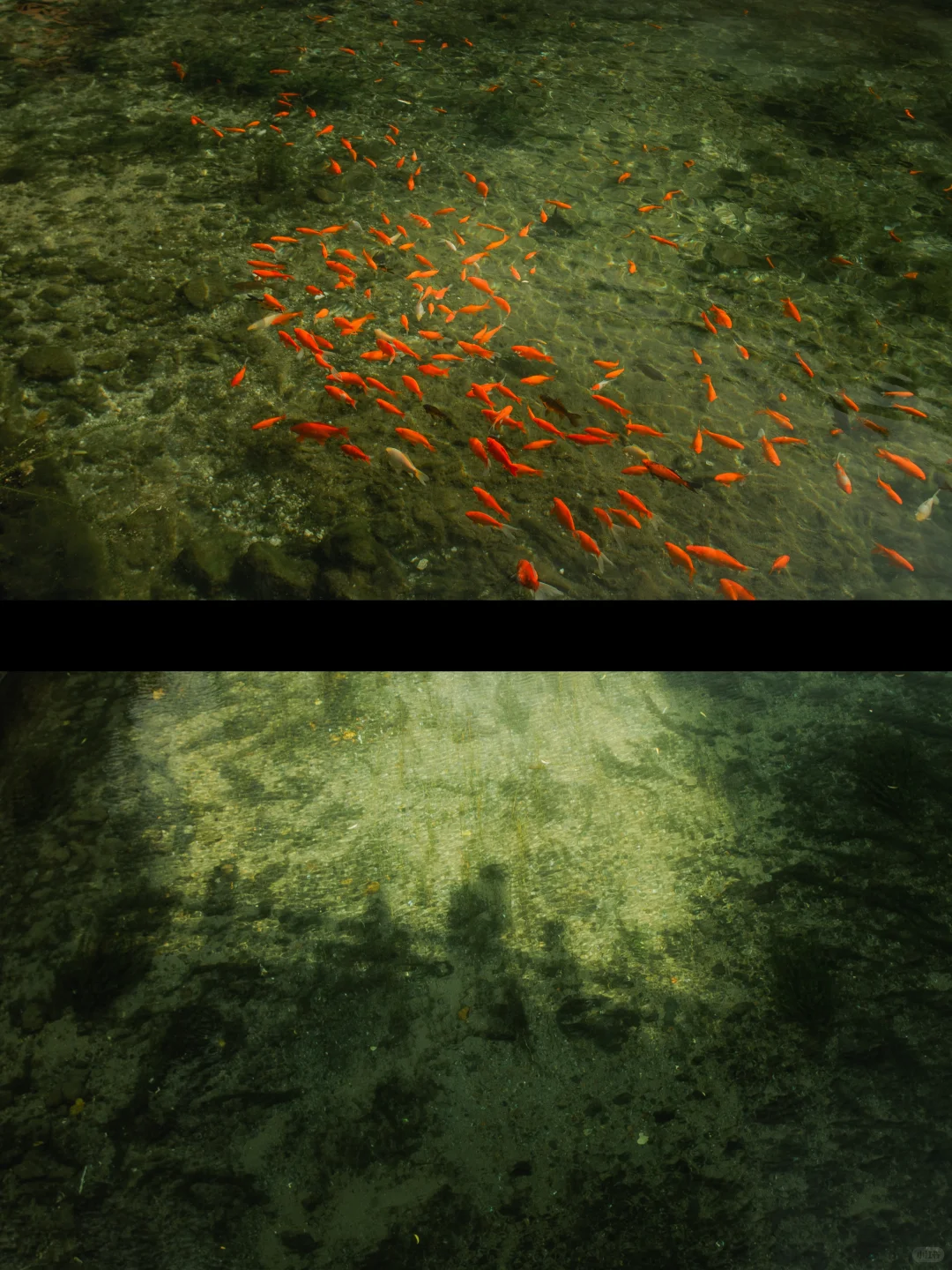 在济南的十二小时